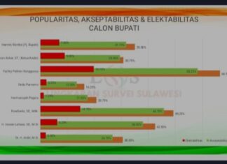 Pendatang Baru di Bursa Pilkada Konawe, Yusran Akbar Disebut Sebagai Kuda Hitam