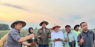 Pj Bupati Konawe Panen Raya di Desa Tetemotaha